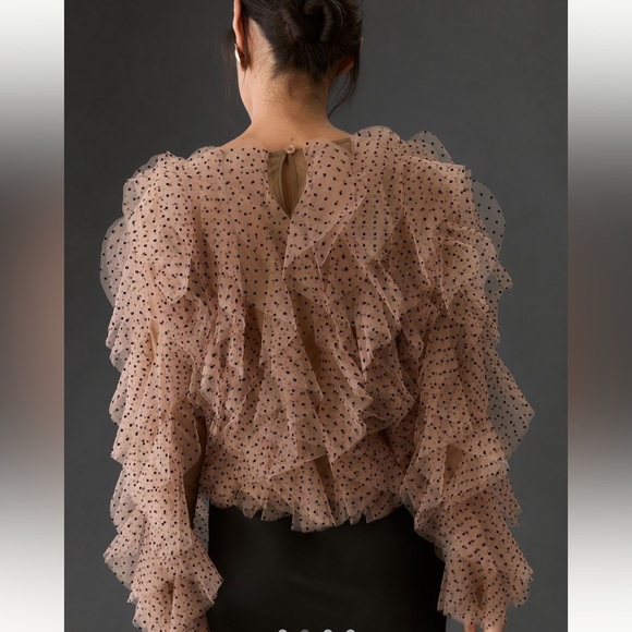 Anthropologie Dolan Left Coast Mesh Ruffle Top - Medium - Picture 2 of 12